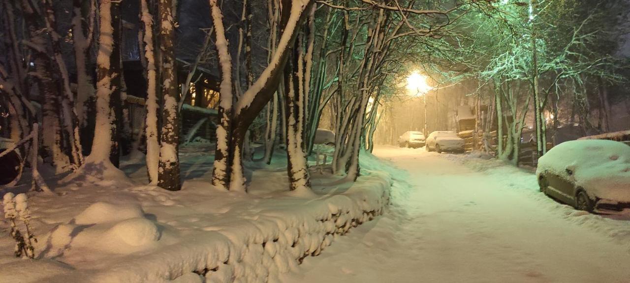 Buenavida Guesthouse Ushuaia Zewnętrze zdjęcie