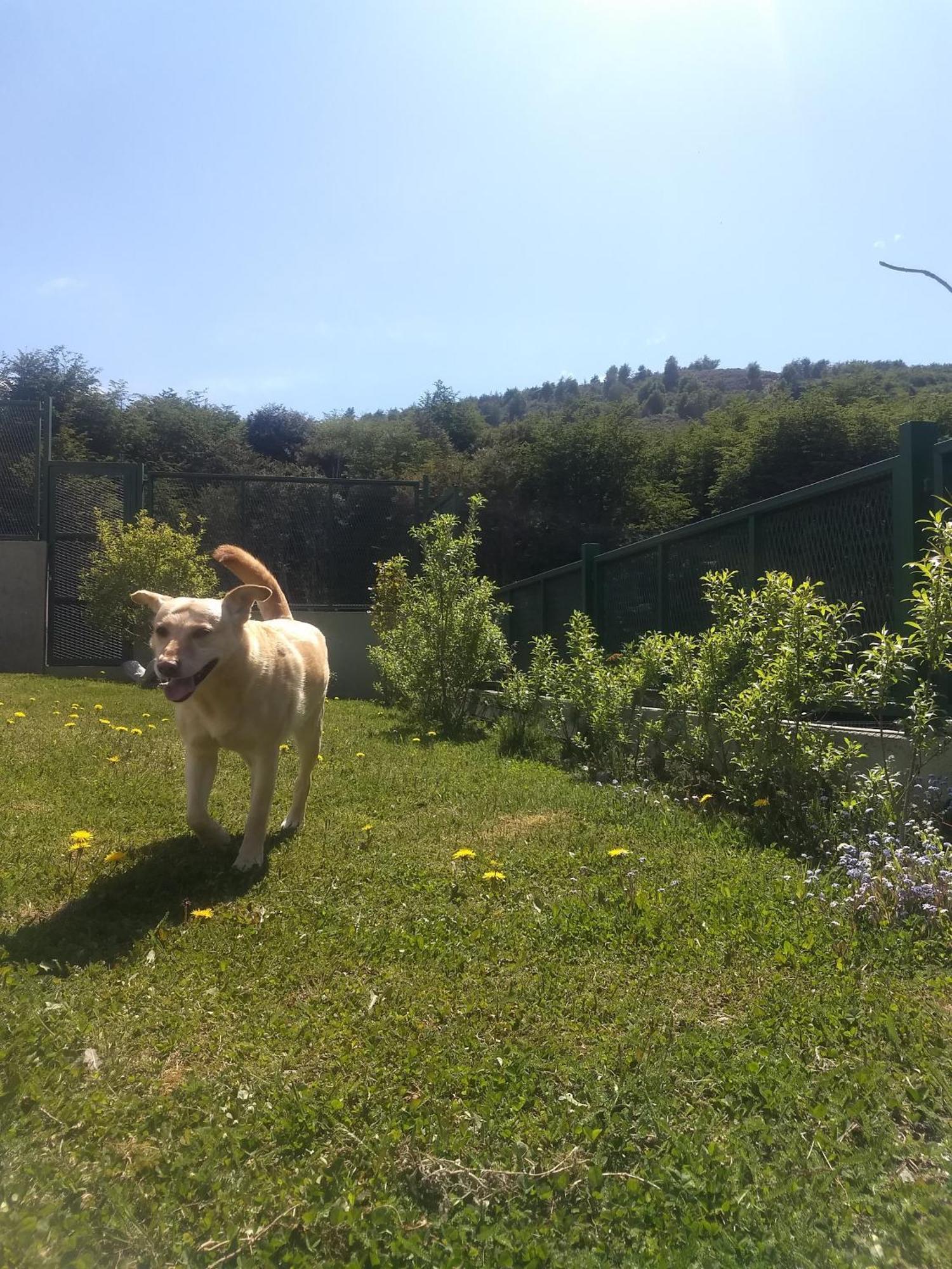 Buenavida Guesthouse Ushuaia Zewnętrze zdjęcie