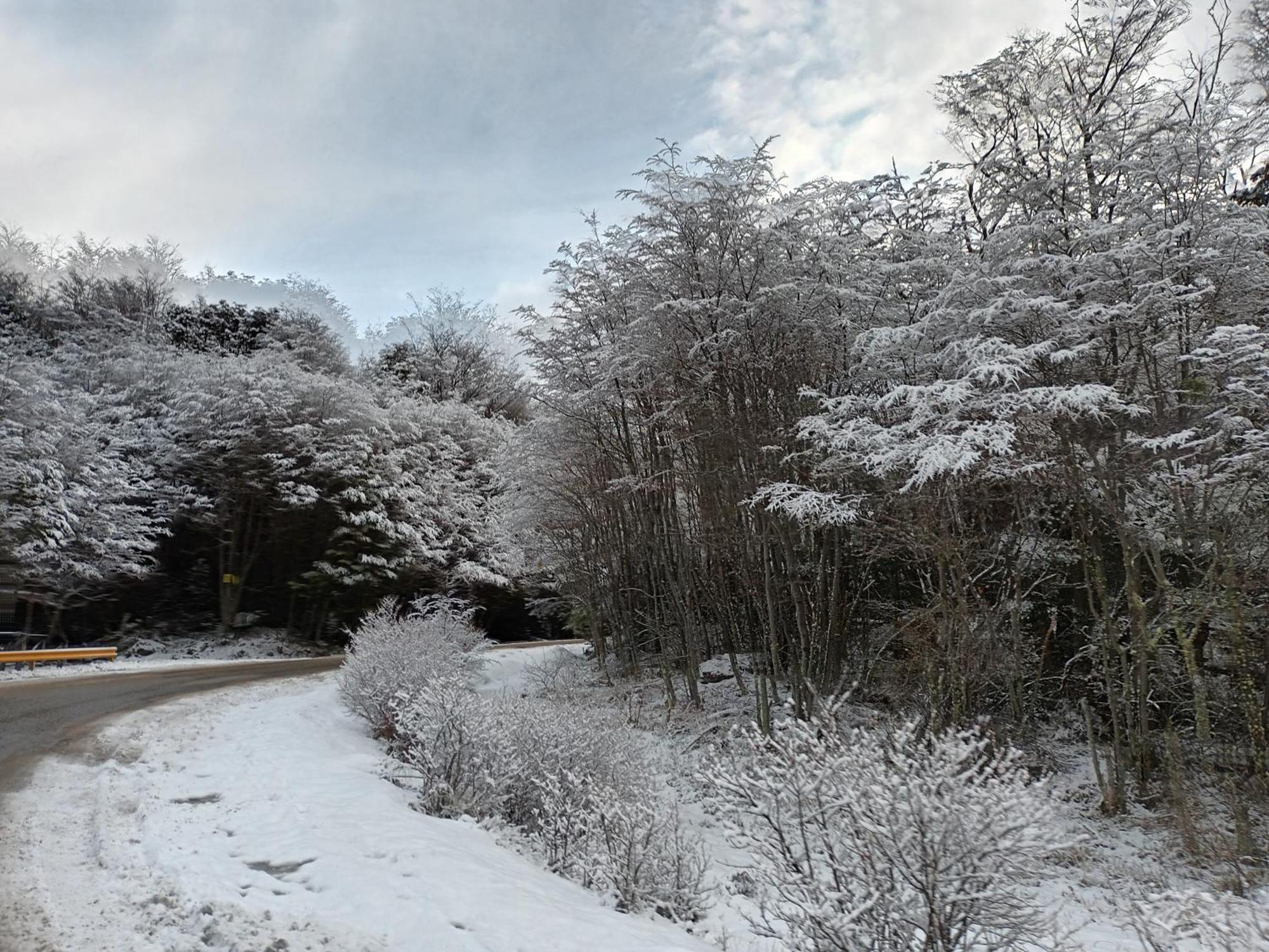 Buenavida Guesthouse Ushuaia Zewnętrze zdjęcie