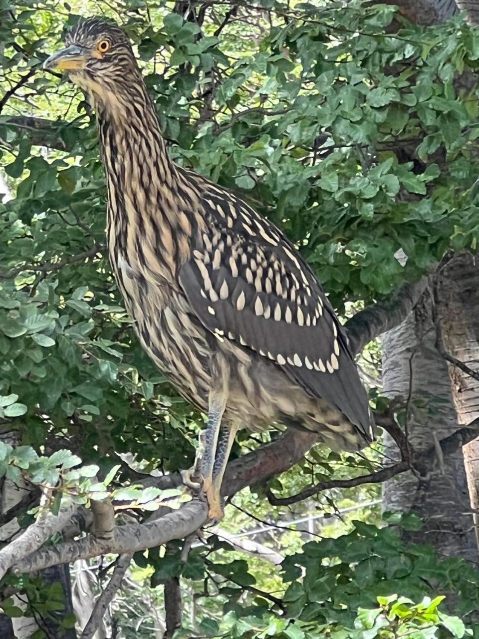 Buenavida Guesthouse Ushuaia Zewnętrze zdjęcie